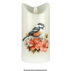 Aqua-Transfers Deluxe, Frühlingszeit, 10cm x 30cm, farbig, 10 Bogen