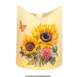 Aqua-Transfers Deluxe, Herbst- und Winterzeit, 10cm x 30cm, farbig, 10 Bogen