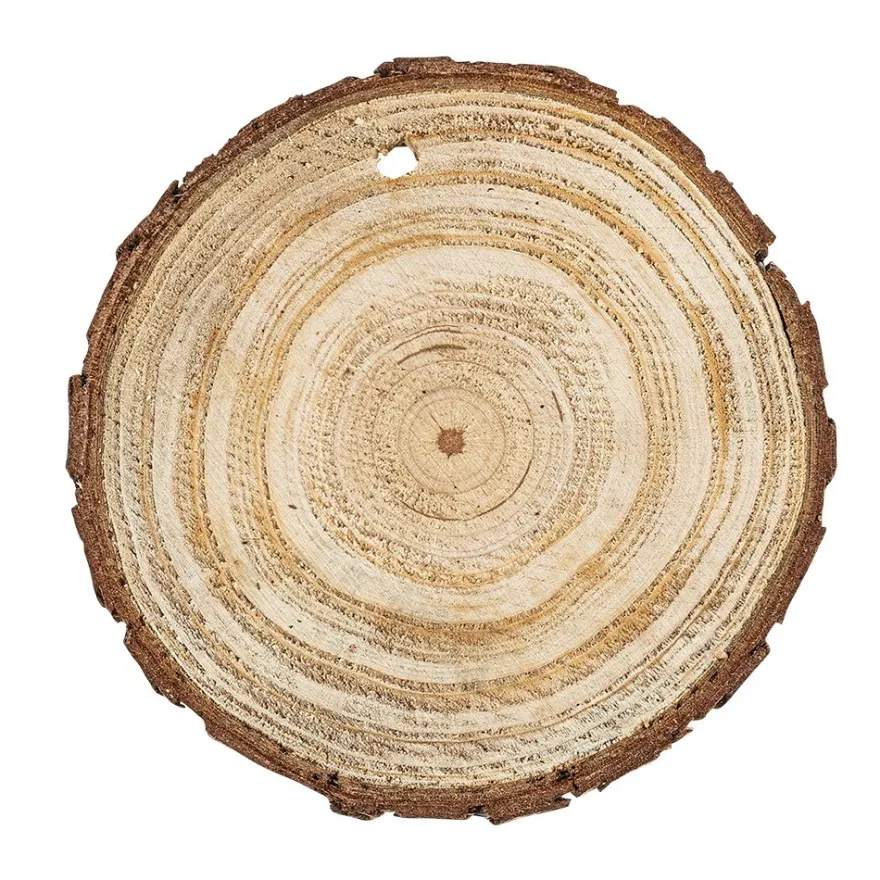 Baumscheiben, Ø 9cm bis 10cm, 0,6cm stark, 20 Stück