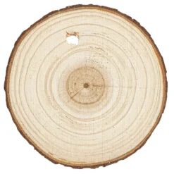 Baumscheiben, Ø 6cm bis 7cm, 0,6cm stark, 30 Stück