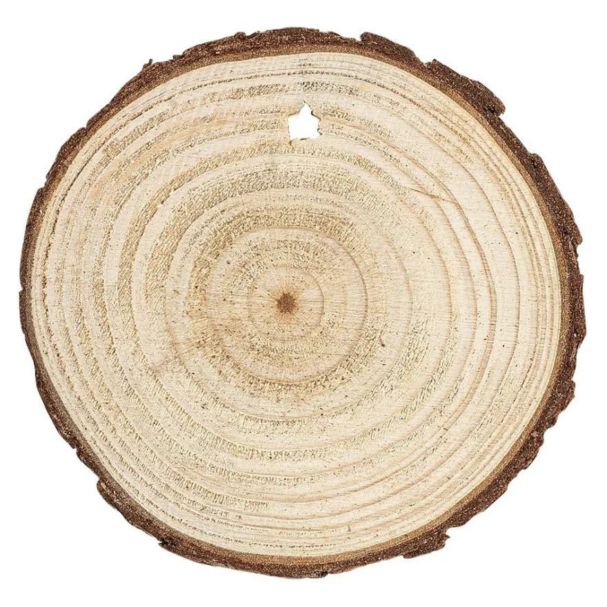 Baumscheiben, Ø 8cm bis 9cm, 0,6cm stark, 25 Stück