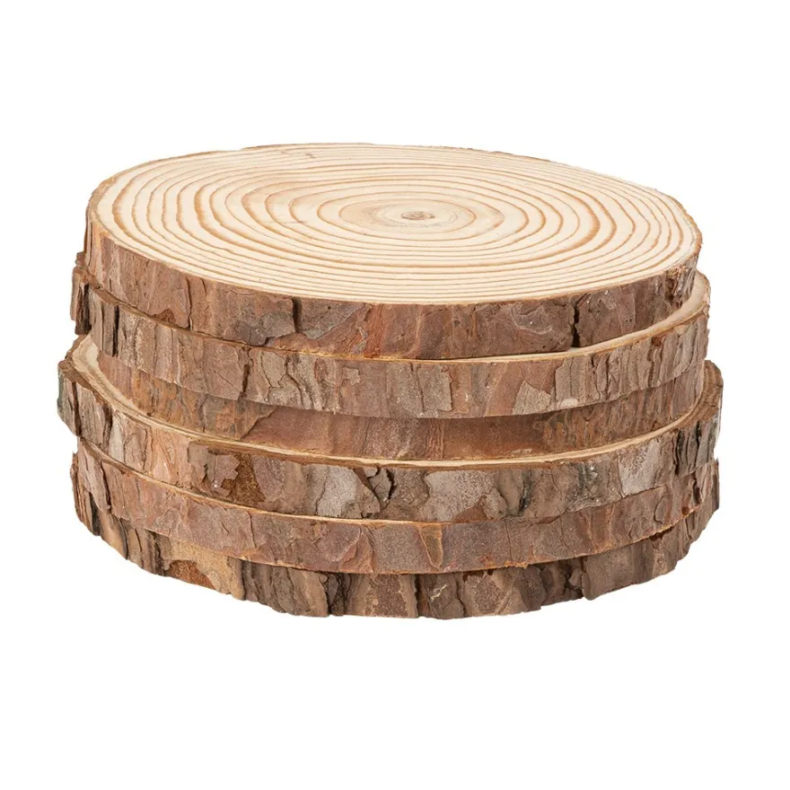 Baumscheiben, Ø 12cm bis 13cm, 1cm stark, 6 Stück