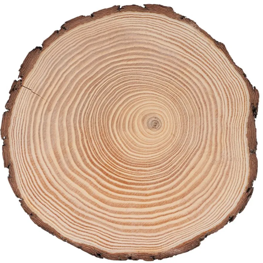 Baumscheibe, rund, Ø 24cm bis 25cm, 2cm dick