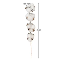 Baumwollzweig, 35cm lang, 4 Samenkapseln, Ø6cm bis Ø7cm