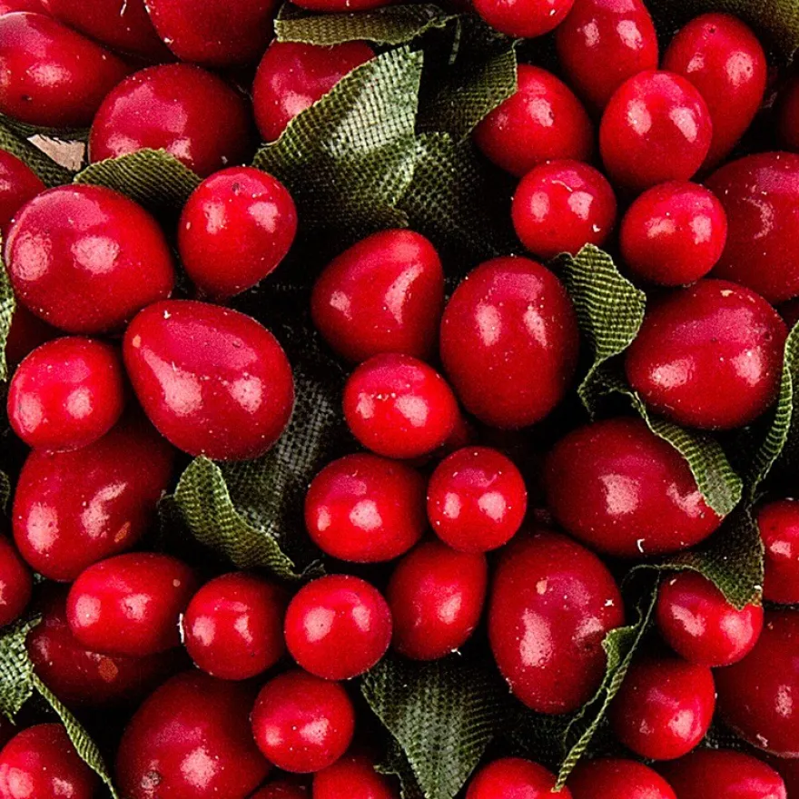 Beerenzweige, 11,5cm, rote Beeren, 12 Stück
