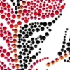 Bügelchaton-Design, DIN A4, mehrfarbig, Federn 4, rot/schwarz