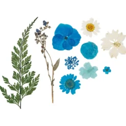 Blumen, getrocknet & gepresst, verschiedene filigrane Blumen in Blau