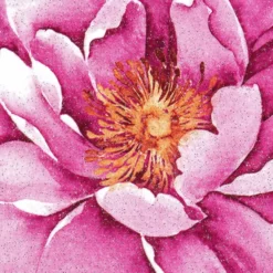 Color Bügeltransfer, Glitzer, DIN A4, Heckenrose