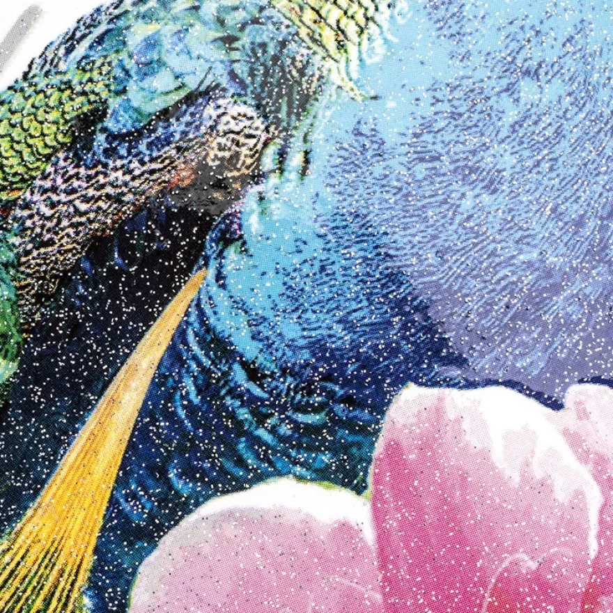 Color Bügeltransfer, Glitzer, DIN A4, Pfau 1