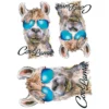 Color Bügeltransfers, DIN A4, Cool Lama Nr. 2