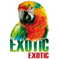 Color Bügeltransfers, DIN A4, Exotic