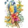 Color Bügeltransfers, DIN A4, filigran ohne Hintergund, Tropical Papagei