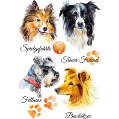 Color Bügeltransfers, DIN A4, Hunde 2