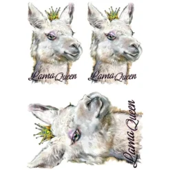 Color Bügeltransfers, DIN A4, Lama Queen Nr. 2