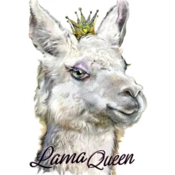 Color Bügeltransfers, DIN A4, Lama Queen