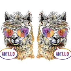 Color Bügeltransfers, DIN A4, Lama Hello