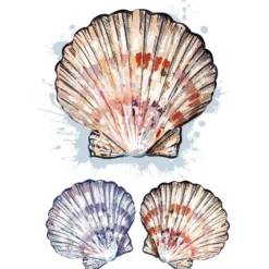 Color Bügeltransfers, DIN A4, Muscheln