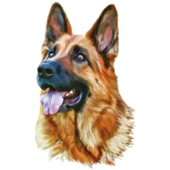 Color Bügeltransfers, DIN A4, Schäferhund Portrait
