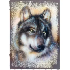 Color Bügeltransfers, DIN A4, Wolf