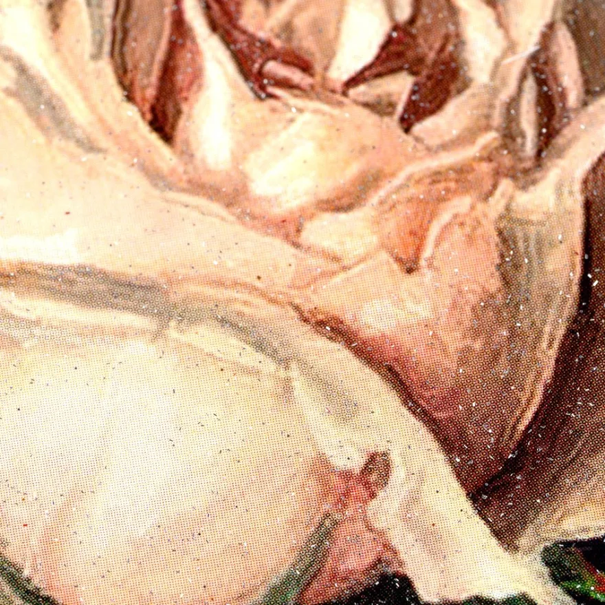 Color Bügeltransfers, Glitzer, DIN A4, Rosen 2
