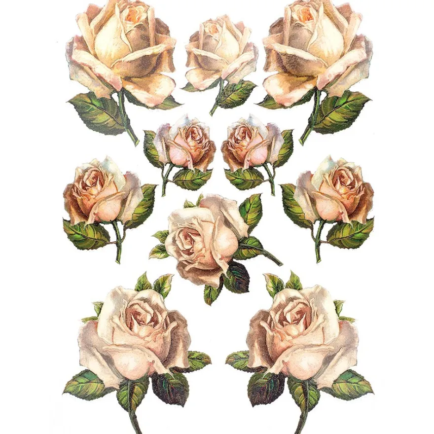 Color Bügeltransfers, Glitzer, DIN A4, Rosen 2
