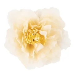 Deko-Blüten "Kamelie", Ø 6cm, lachs, 10 Stück