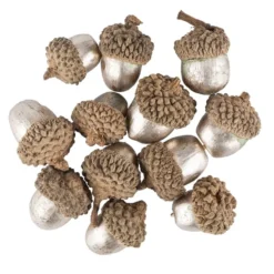 Deko-Eicheln, champagnerfarben, Ø1,5cm bis Ø2,3cm, 2,3cm bis 3,2cm lang, 12 Stück