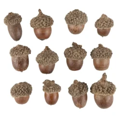 Deko-Eicheln, Ø1,5cm bis Ø2,3cm, 2,3cm bis 3,2cm lang, 12 Stück