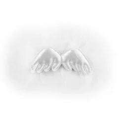 Deko-Flügel, 3cm x 8 cm, weiß, 3 Stück