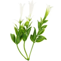 Deko-Floristik, Blüten 5, 10cm / 11cm, 30g