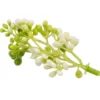 Deko-Floristik, Blütenknospen 6, 35g, 8cm lang, weiße Knospen