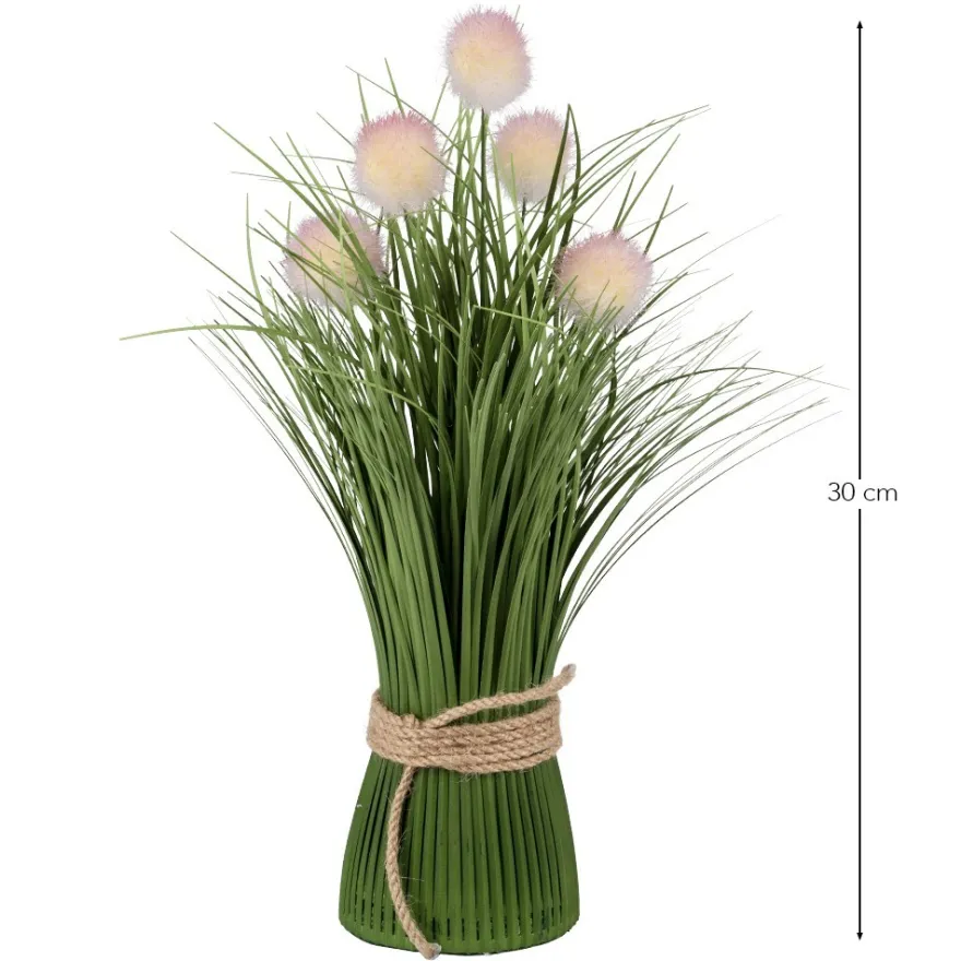 Deko-Knopfgras, 30cm hoch, mit rosa Blüten