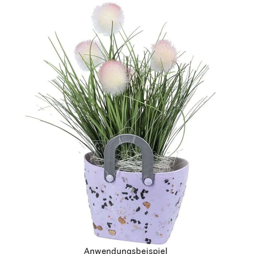 Deko-Knopfgras, 30cm hoch, mit rosa Blüten