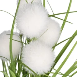 Deko-Knopfgras, im Topf, 30cm hoch, mit weißen Blüten