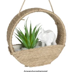 Deko-Sukkulenten, 10cm bis 16cm hoch, in grauem Blumentopf, 5 Stück