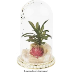Deko-Sukkulenten, 10cm bis 16cm hoch, in grauem Blumentopf, 5 Stück