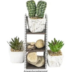 Deko-Sukkulenten, 6,5cm bis 9cm hoch, in weißem Blumentopf, 5 Stück