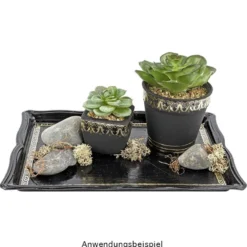 Deko-Sukkulenten, 6,5cm bis 9cm hoch, in weißem Blumentopf, 5 Stück