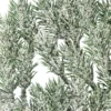 Deko-Tannenzweige, beschneit, 6,5cm lang, grün, 55 Stück