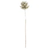 Deko-Zweige, Tannenzapfen, 10cm lang, am Draht, goldener Glimmer, 12 Stück
