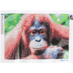 Diamond-Painting-Bild, Affe, 35cm x 25cm, inkl. Werkzeug