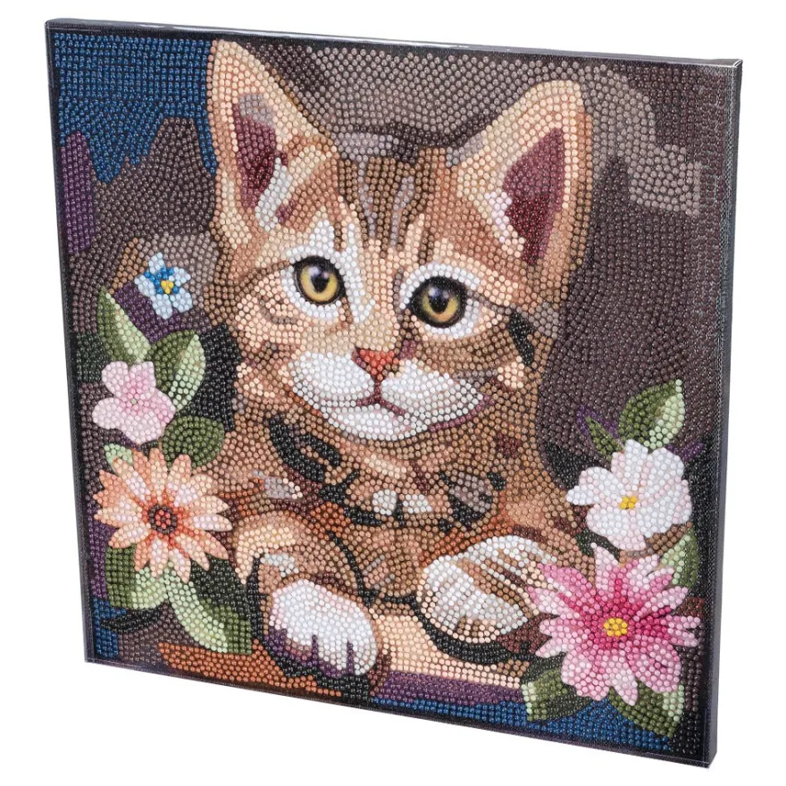 Diamond-Painting-Bild auf Keilrahmen, Katze mit Blumen, 30cm x 30cm, inkl. Werkzeug