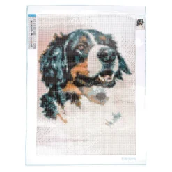 Diamond-Painting-Bild, Berner Sennenhund, 25cm x 35cm, inkl. Werkzeug