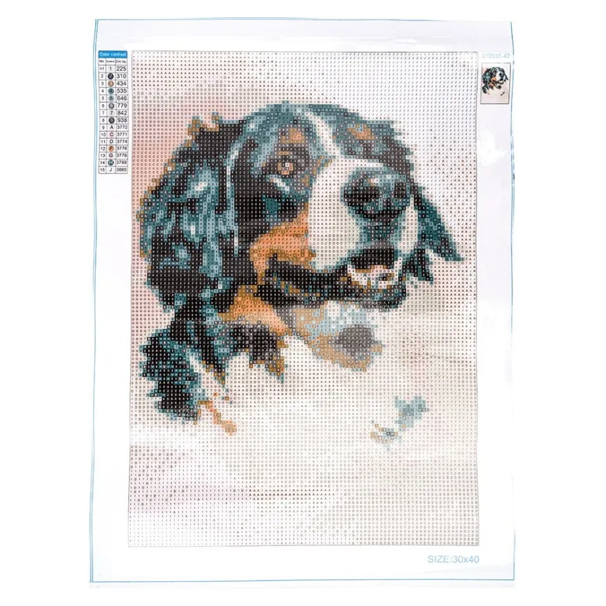 Diamond-Painting-Bild, Berner Sennenhund, 25cm x 35cm, inkl. Werkzeug