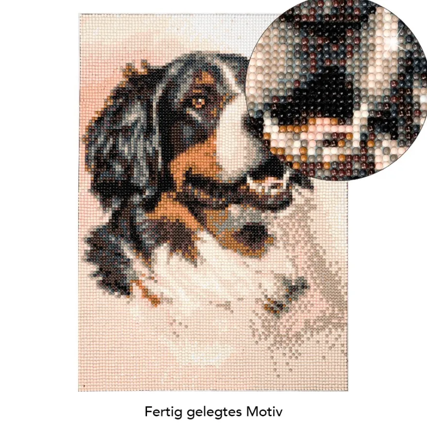 Diamond-Painting-Bild, Berner Sennenhund, 25cm x 35cm, inkl. Werkzeug