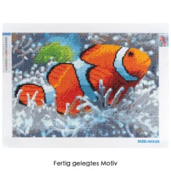 Diamond-Painting-Bild, Clownfisch, 35cm x 25cm, inkl. Werkzeug