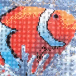 Diamond-Painting-Bild, Clownfisch, 35cm x 25cm, inkl. Werkzeug