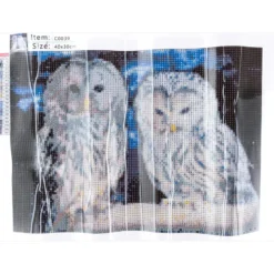 Diamond-Painting-Bild, Eulen 1, 35cm x 25cm, inkl. Werkzeug