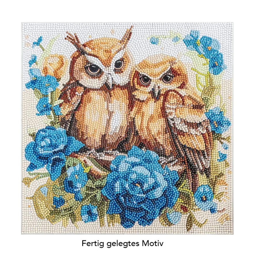 Diamond-Painting-Bild, Eulen mit Blüten, 30cm x 30cm, inkl. Werkzeug