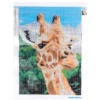 Diamond-Painting-Bild, Giraffe, 25cm x 35cm, inkl. Werkzeug